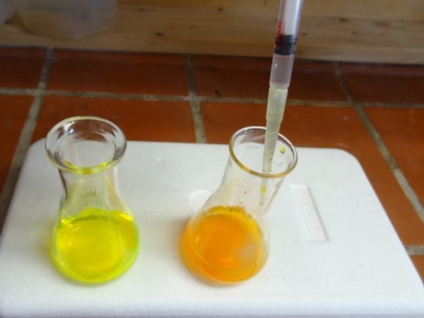 Experiment des Monats