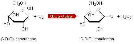 Glucose-Oxidase